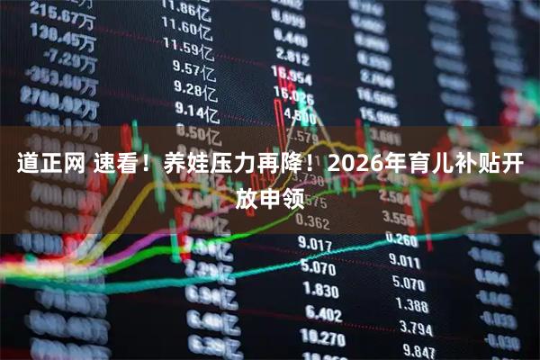 道正网 速看！养娃压力再降！2026年育儿补贴开放申领