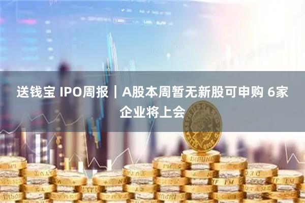 送钱宝 IPO周报｜A股本周暂无新股可申购 6家企业将上会