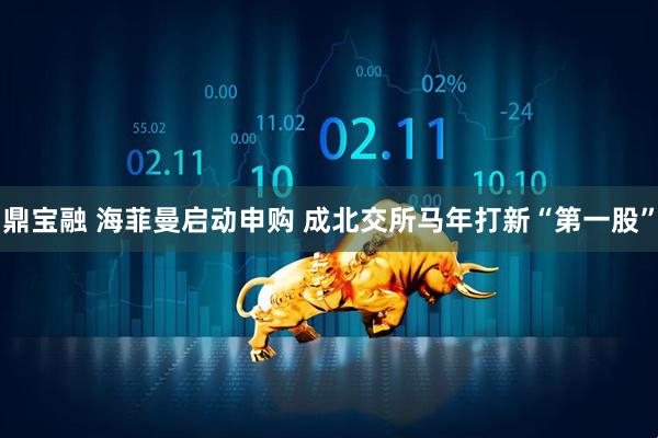 鼎宝融 海菲曼启动申购 成北交所马年打新“第一股”